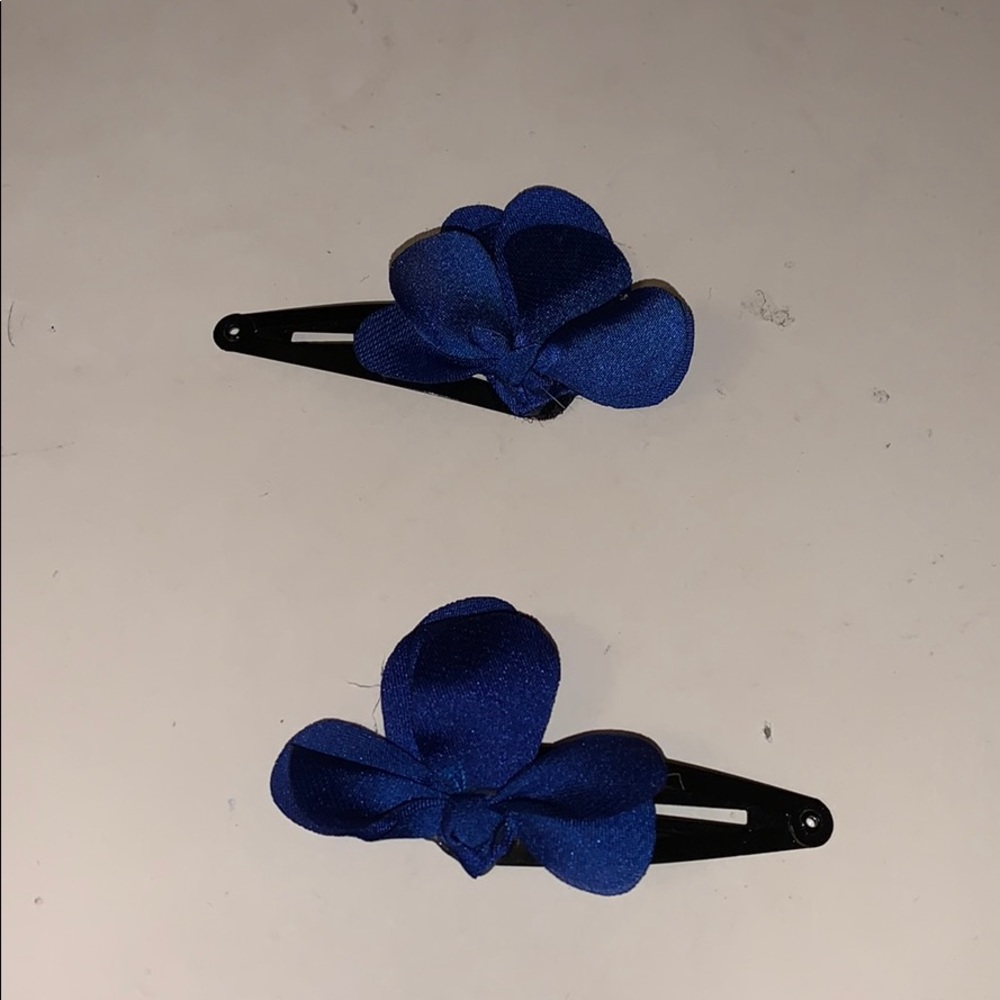 Set of 2 blue clips